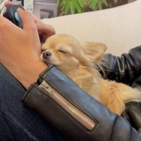 ゲーム