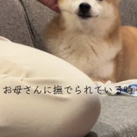 うっとり…