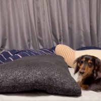 まさかの