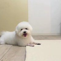 誰とも被らない！！