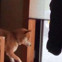 リクくんにハプニング発生9