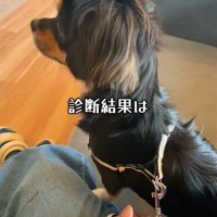 病院で診てもらいました