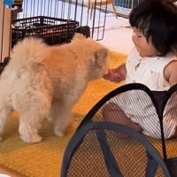 赤ちゃんと遊びたいもち君