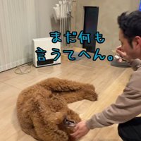 言われる前からやるスタイル