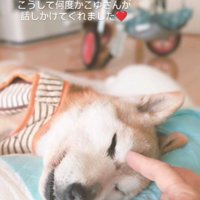 「今までありがとう」