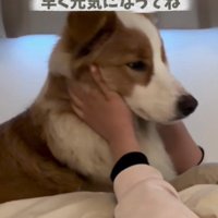 愛あふれる看病でした♡