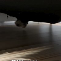 ソファの下からのぞく犬の顔