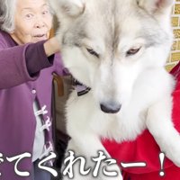 撫でてくれた！！