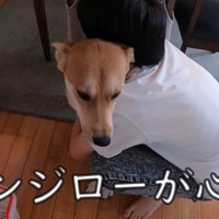 心配して抱きしめるお兄ちゃん