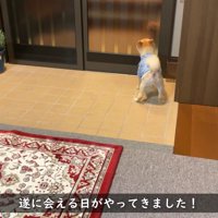 「誰が来たの！？」と興味津々