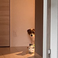 無言の圧