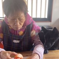 みかんがほしいロイくん