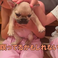 初日からのびのび過ごしたジョアちゃん