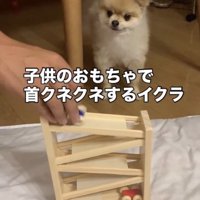 じーっ…