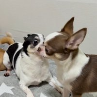 うめちゃんの遊びの誘い方8