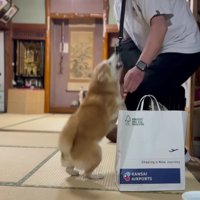 テンションが上がってしまった