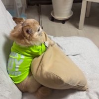 映画に夢中で無視！