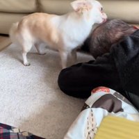 ひたすらペロペロ♪