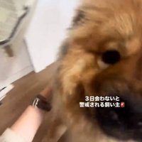 喜ぶうーちゃん