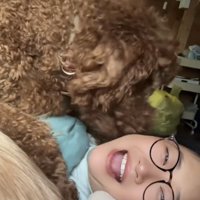 女性に顔を押しつける犬