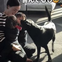 尻尾を振る犬
