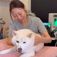 治療が始まると…