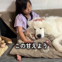 メイちゃんをナデナデ♪