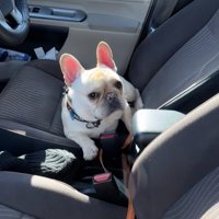 まだまだぼーっとしてます