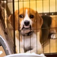 目だけは監視を忘れない