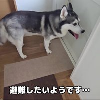 部屋の外に避難