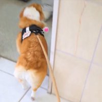 診察室