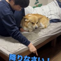 ジッさん、怒りに満ちた表情