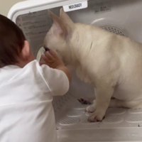 「こんなところにいた！」