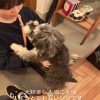 見つめる犬4