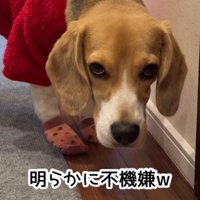 不機嫌な顔に…