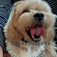 わがままプリンセスなまるるちゃん