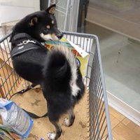 「ここ病院だよね！？」と気づいて…