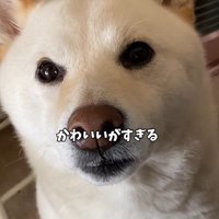 とっても可愛いはるちゃんでした