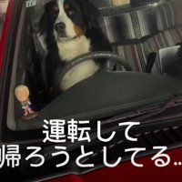 落ち着いた表情にクスッ