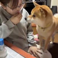 食べるフリをする飼い主