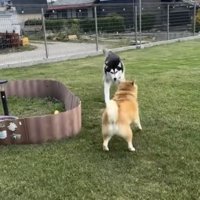 ぶつかる…！