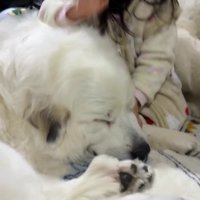 寝かし付けもお手の物♡