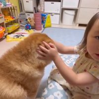 飼い主さんを見る娘さん