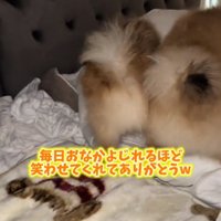 感謝するママ