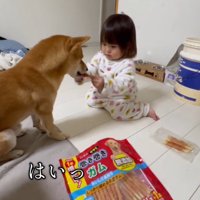 女の子が持っていたおやつを口で受け取る犬