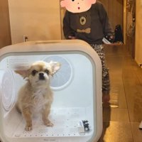 ドライヤーハウスの後ろへ…