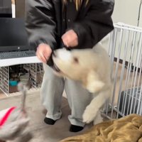 ソラちゃんの熱烈歓迎8