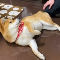 冷たい目でガン見