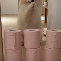 二本足で立って…