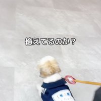 緊張の瞬間…！